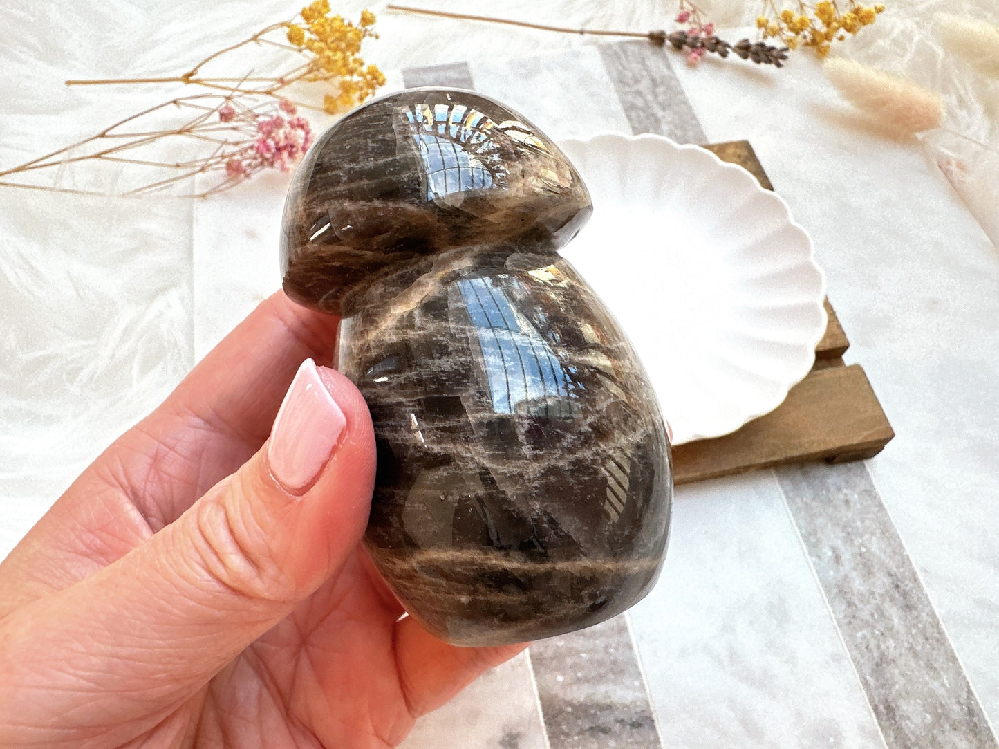 Black Moonstone Mushroom