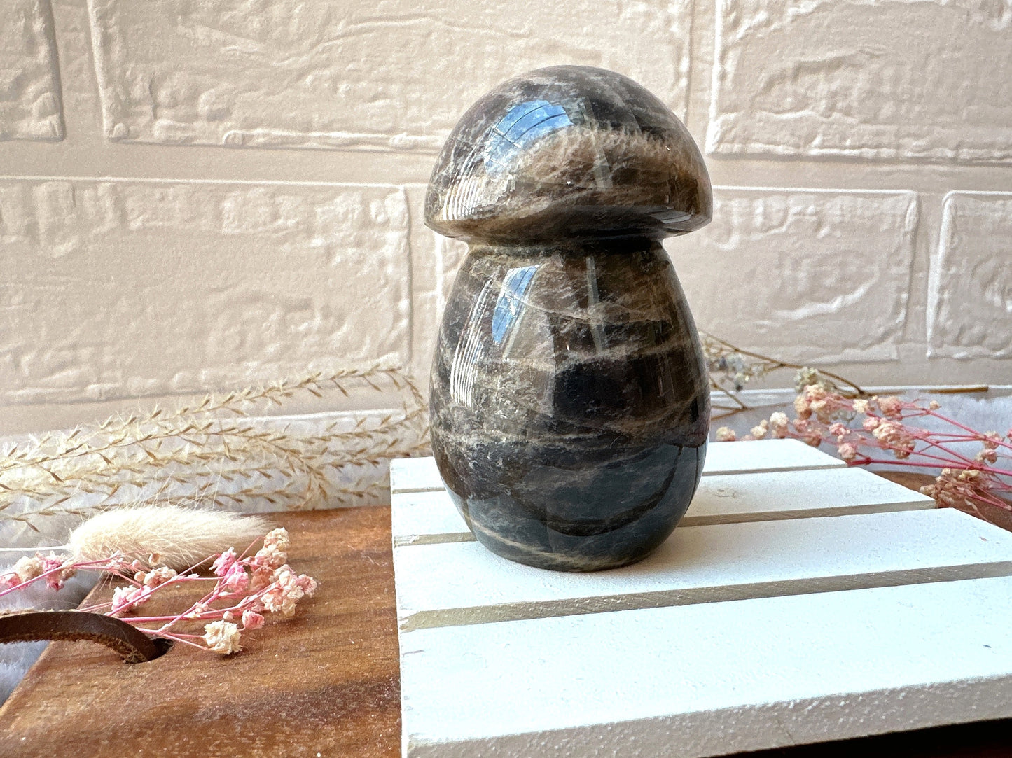 Black Moonstone Mushroom