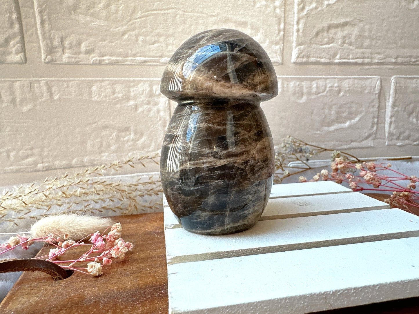 Black Moonstone Mushroom