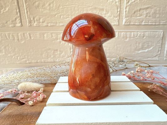 Carnelian Mushroom