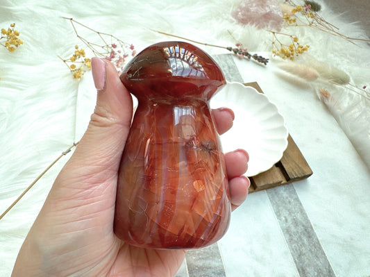 Carnelian Mushroom
