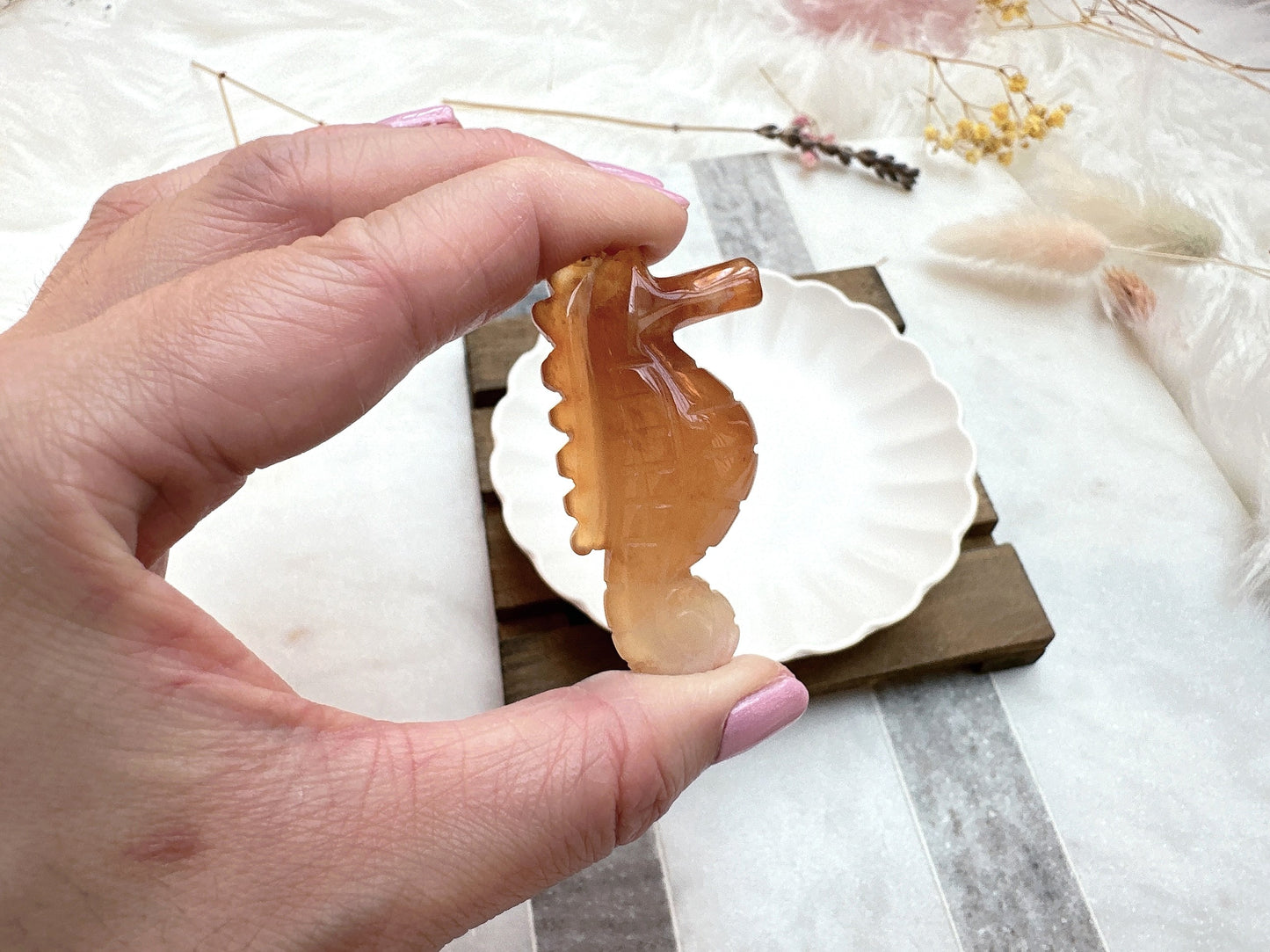 Small Carnelian Seahorse