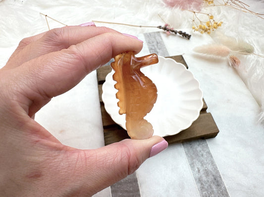 Small Carnelian Seahorse