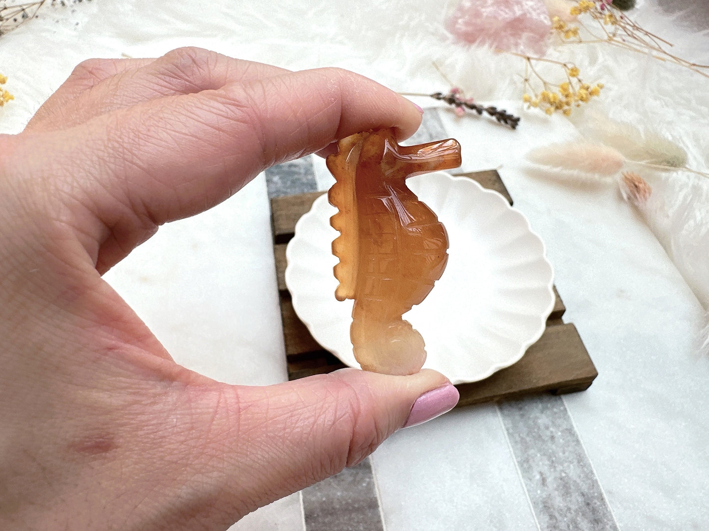 Small Carnelian Seahorse