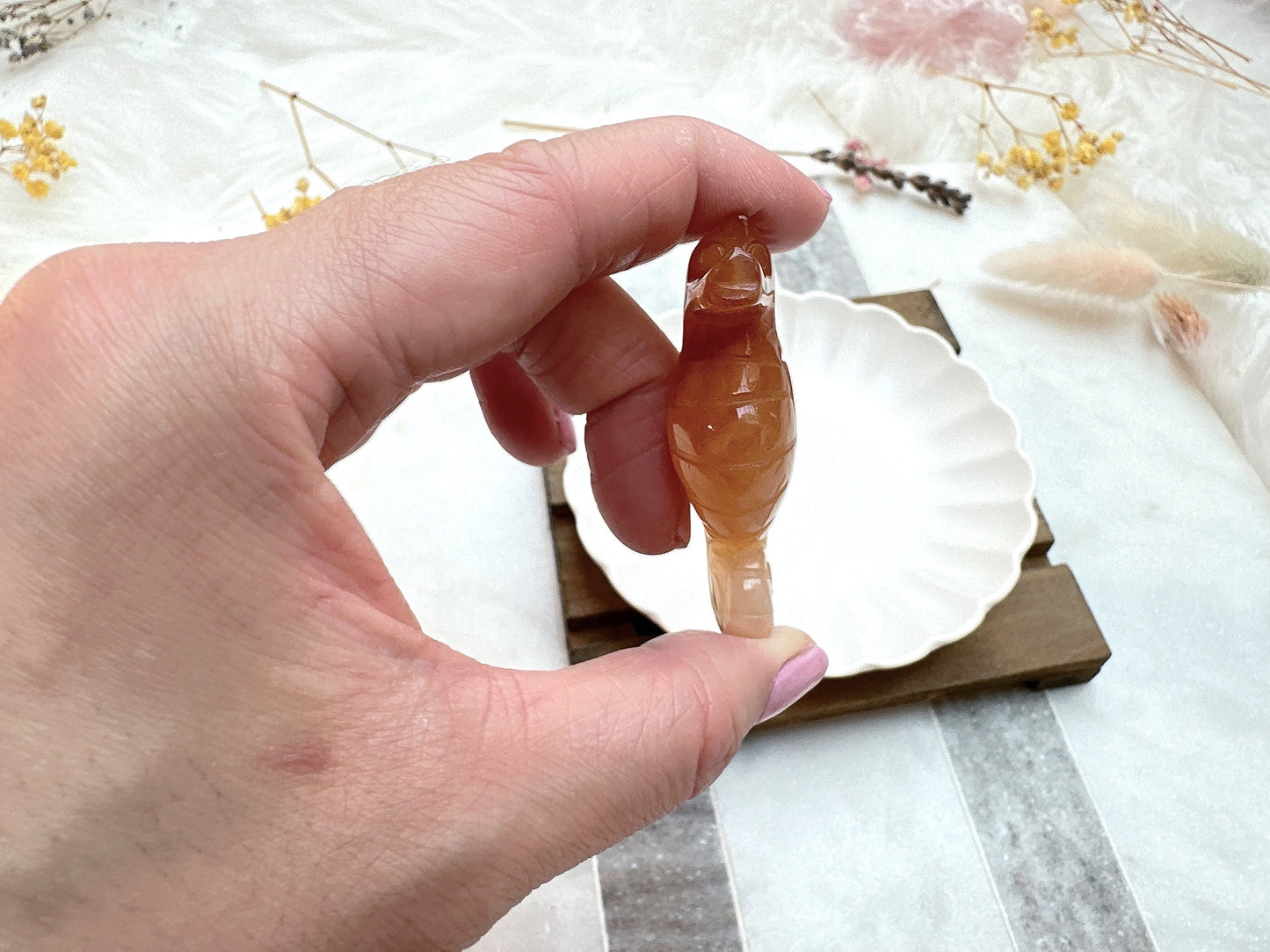 Small Carnelian Seahorse
