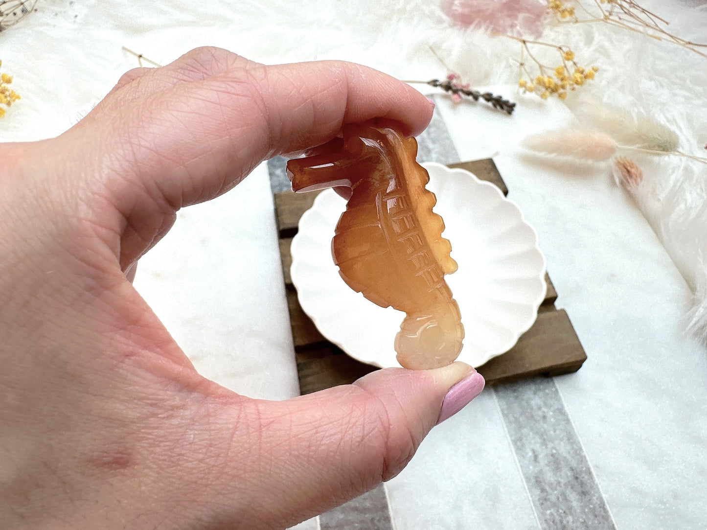 Small Carnelian Seahorse