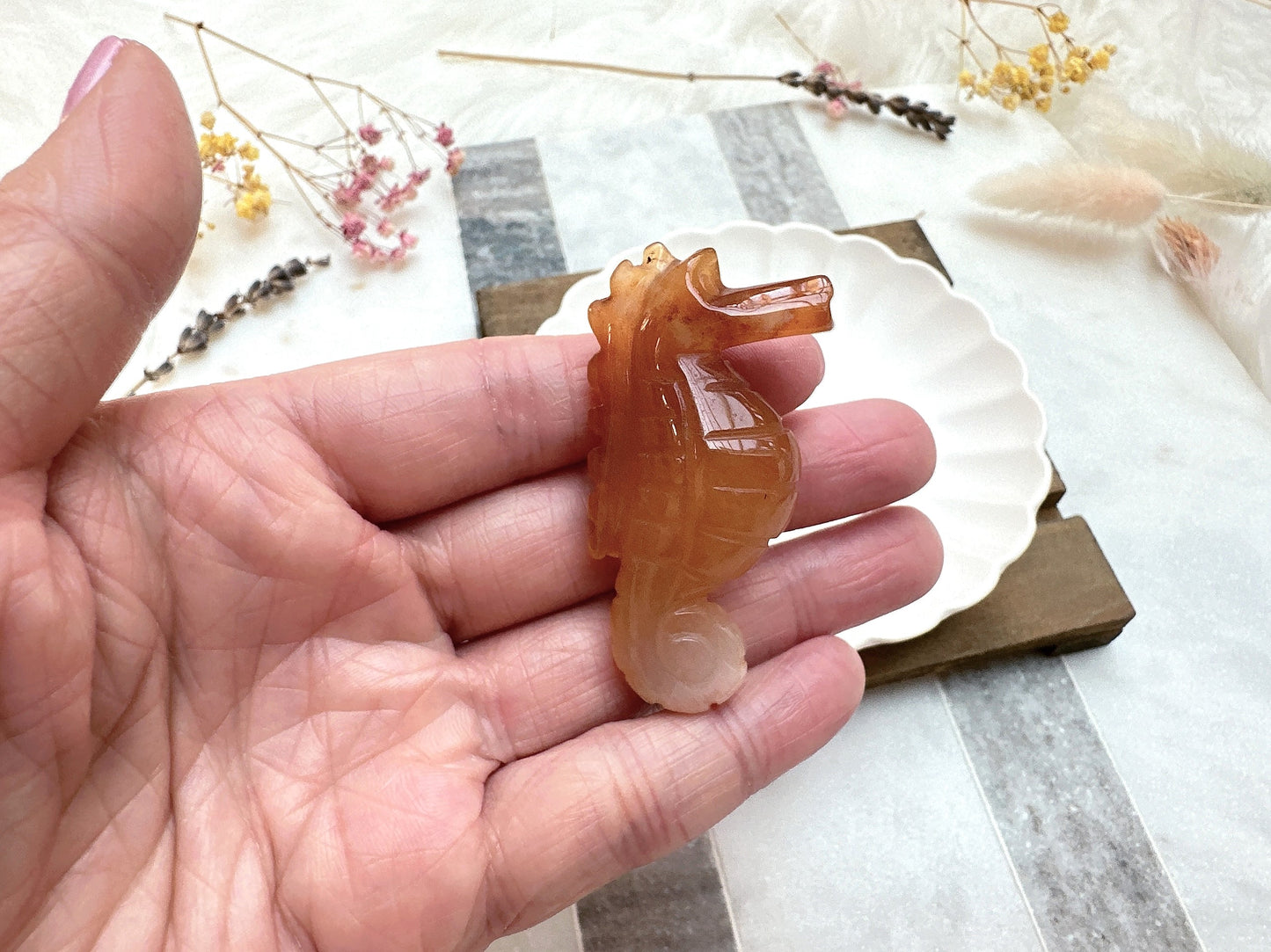 Small Carnelian Seahorse