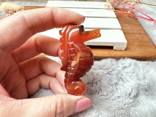 Small Carnelian Seahorse