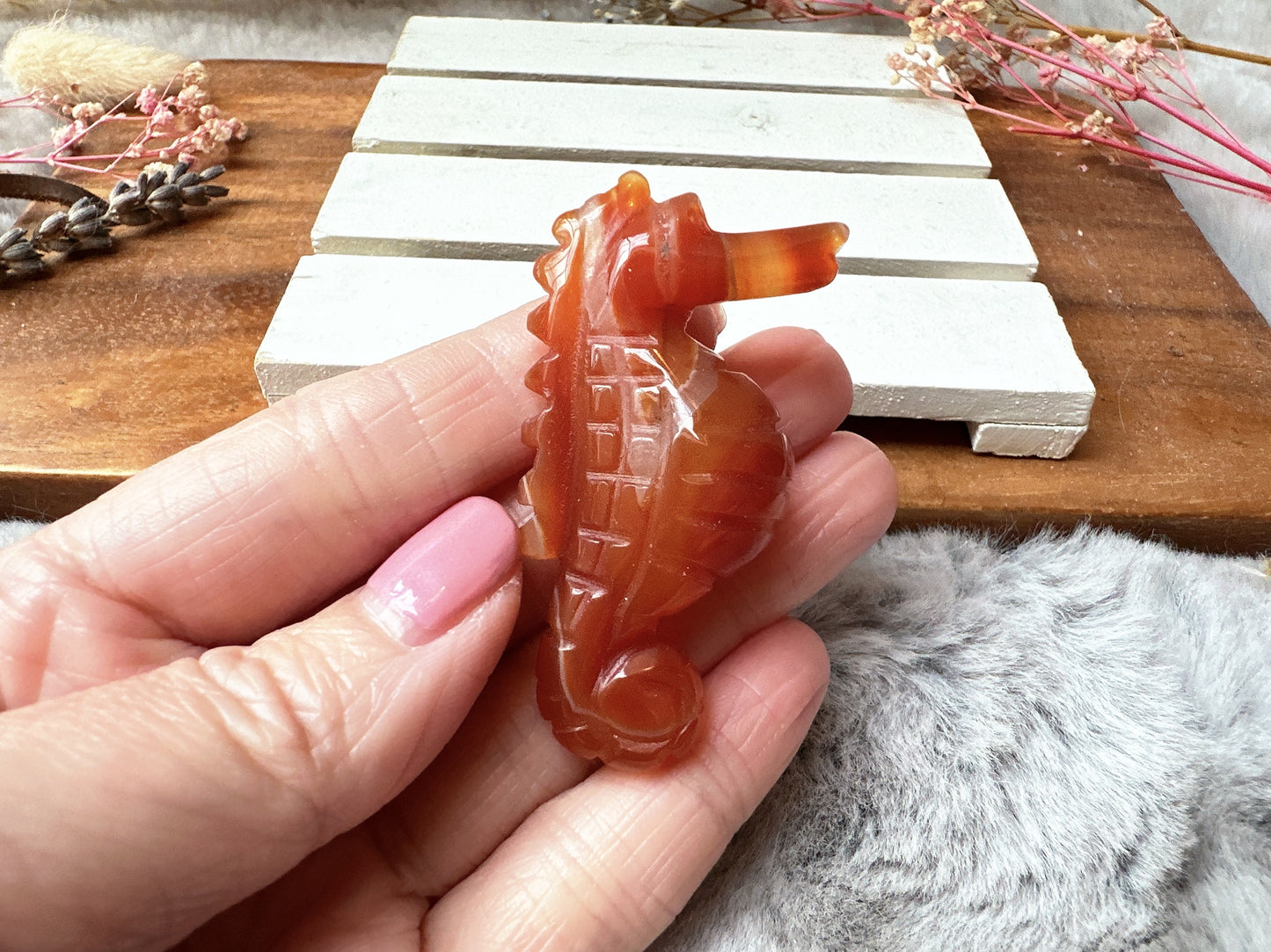 Small Carnelian Seahorse