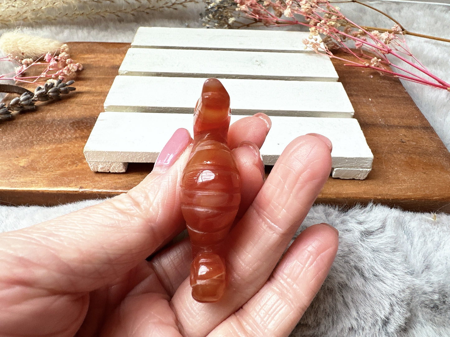 Small Carnelian Seahorse