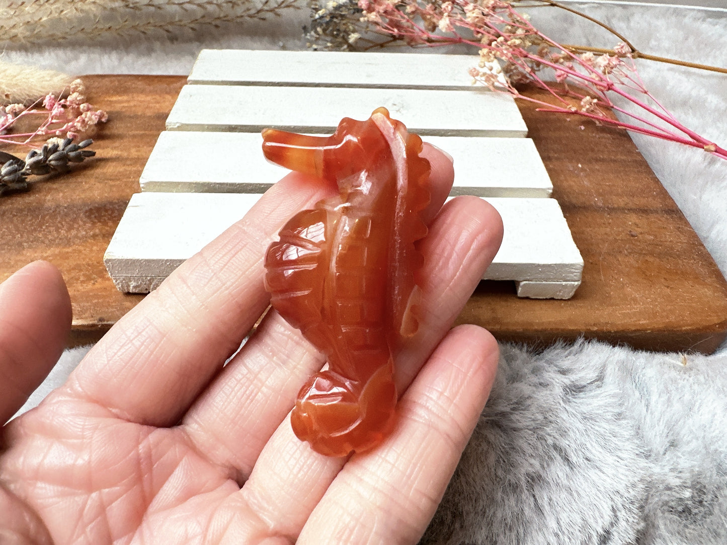 Small Carnelian Seahorse
