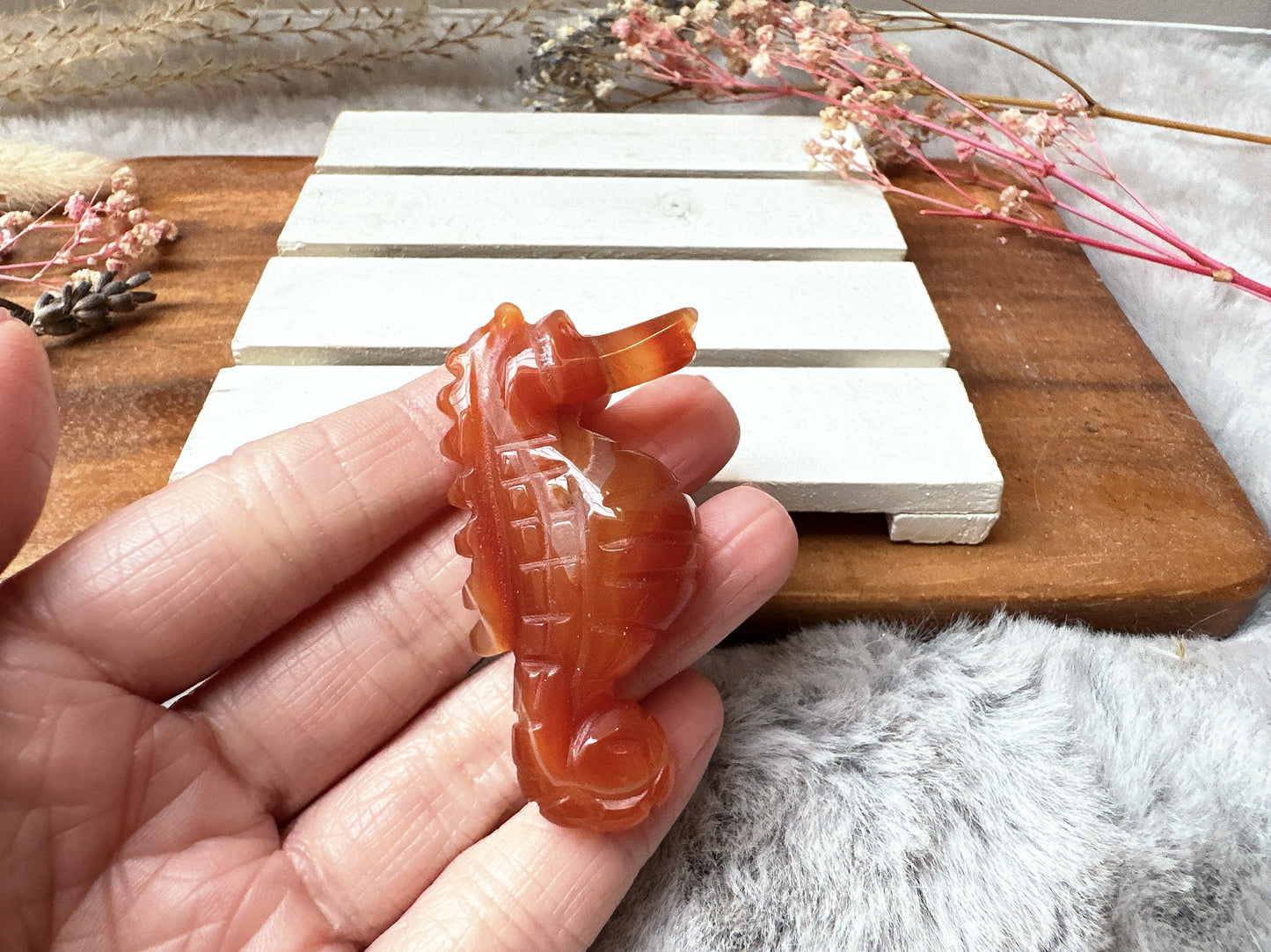 Small Carnelian Seahorse