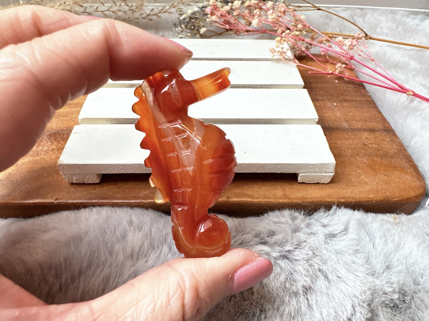 Small Carnelian Seahorse