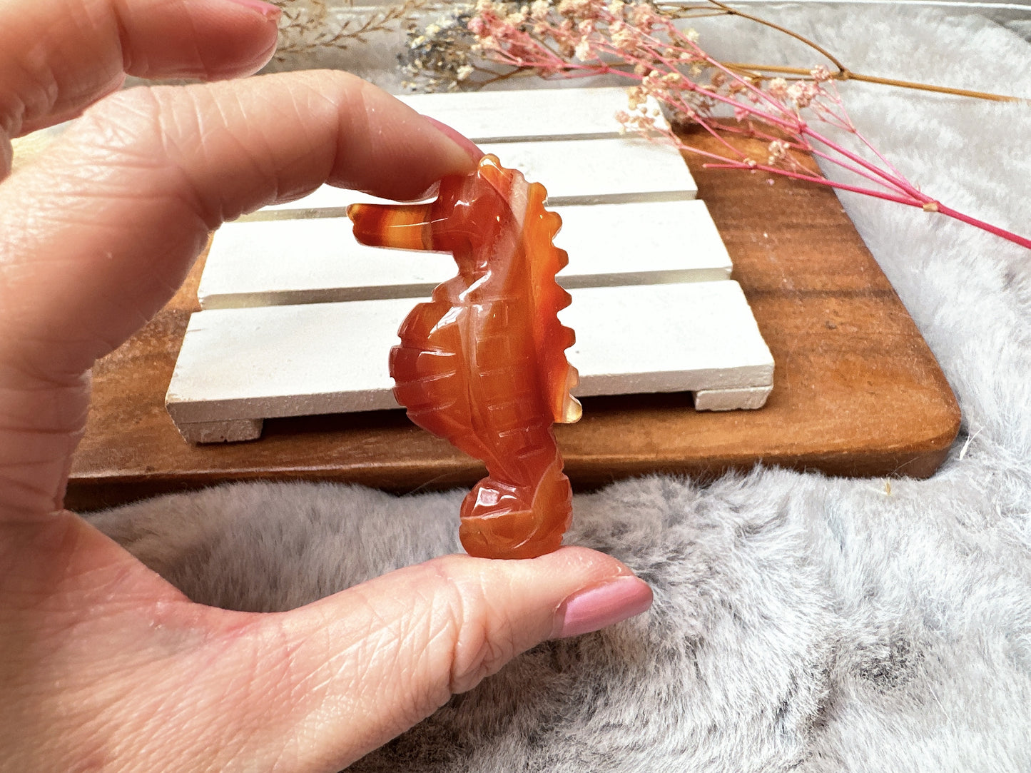 Small Carnelian Seahorse