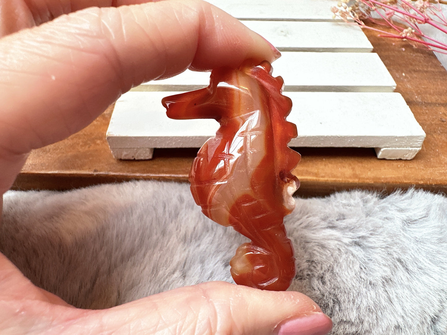 Small Carnelian Seahorse