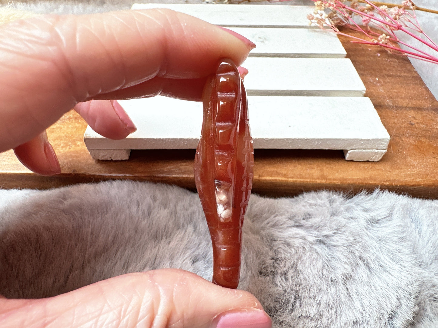Small Carnelian Seahorse