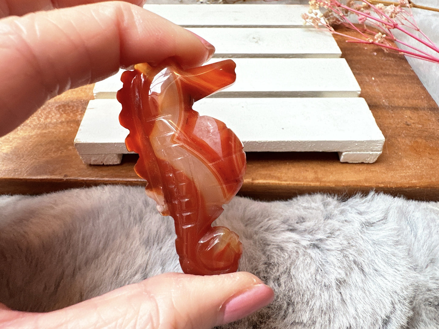 Small Carnelian Seahorse