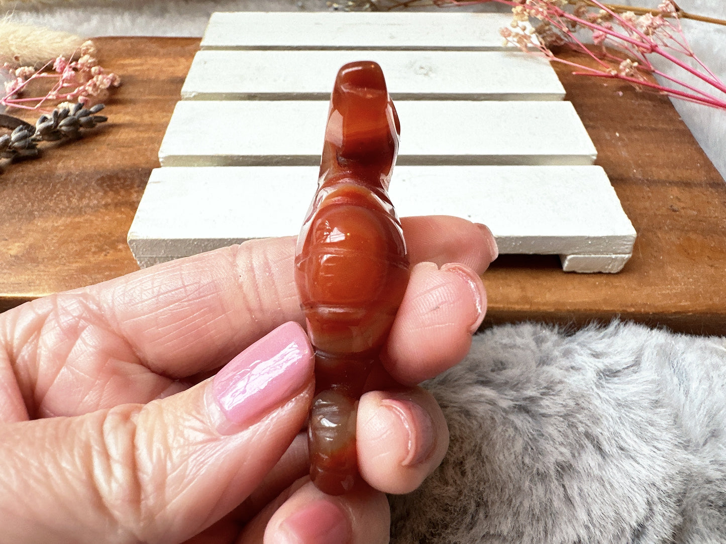 Small Carnelian Seahorse