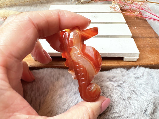 Small Carnelian Seahorse
