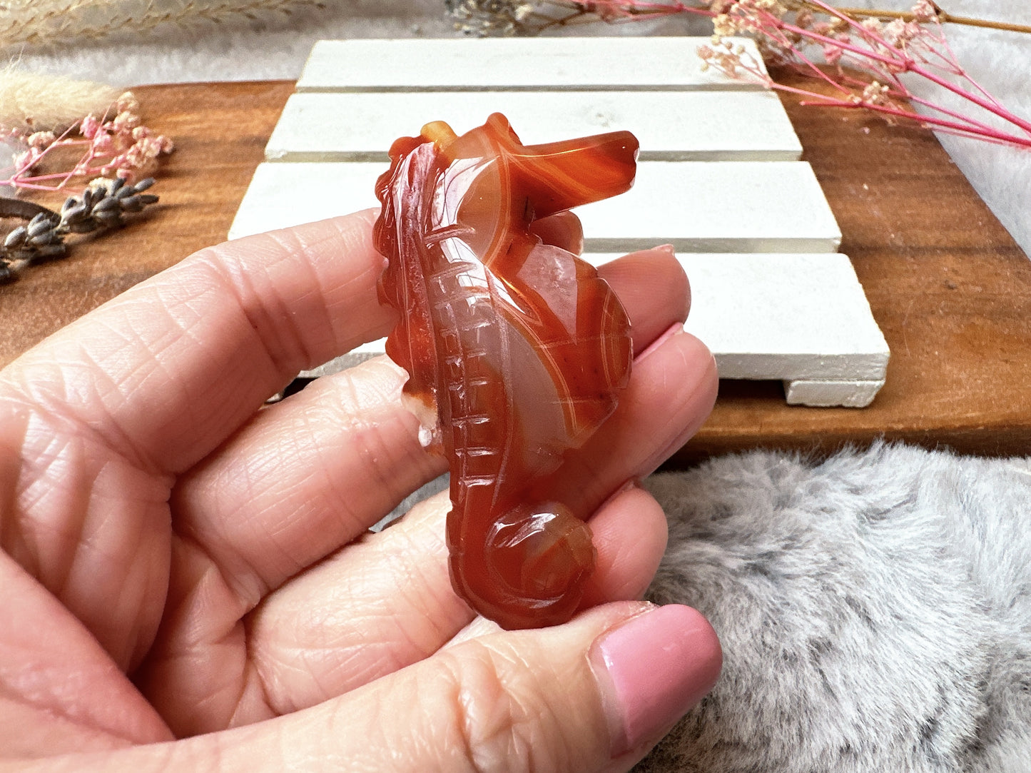 Small Carnelian Seahorse