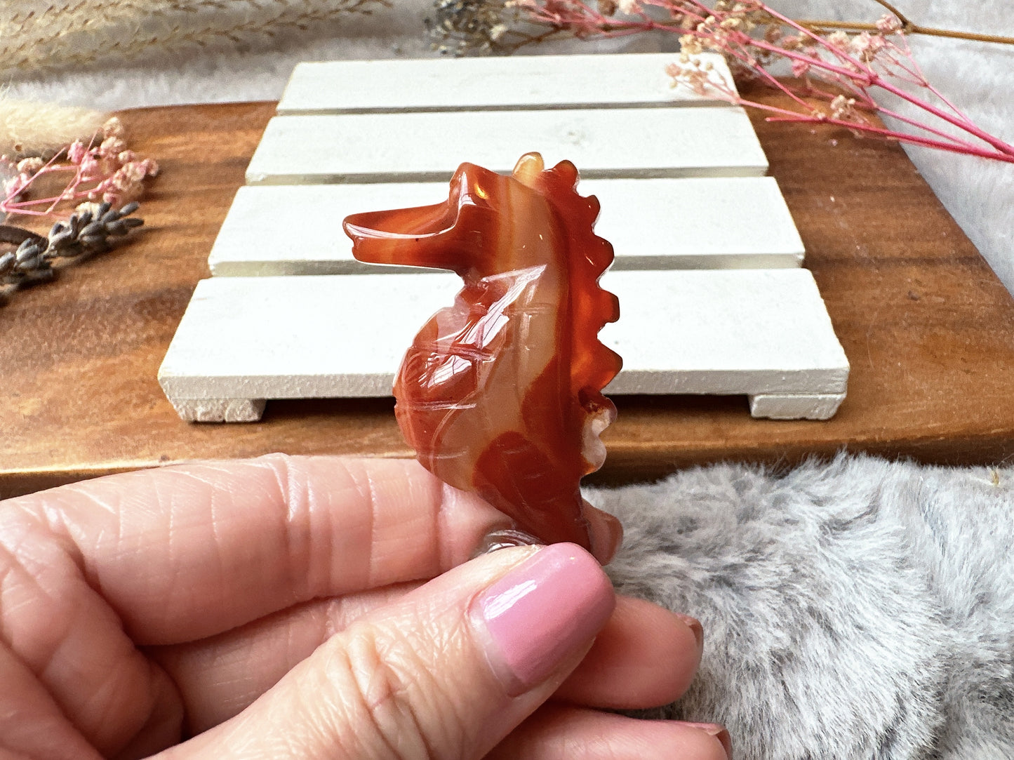 Small Carnelian Seahorse