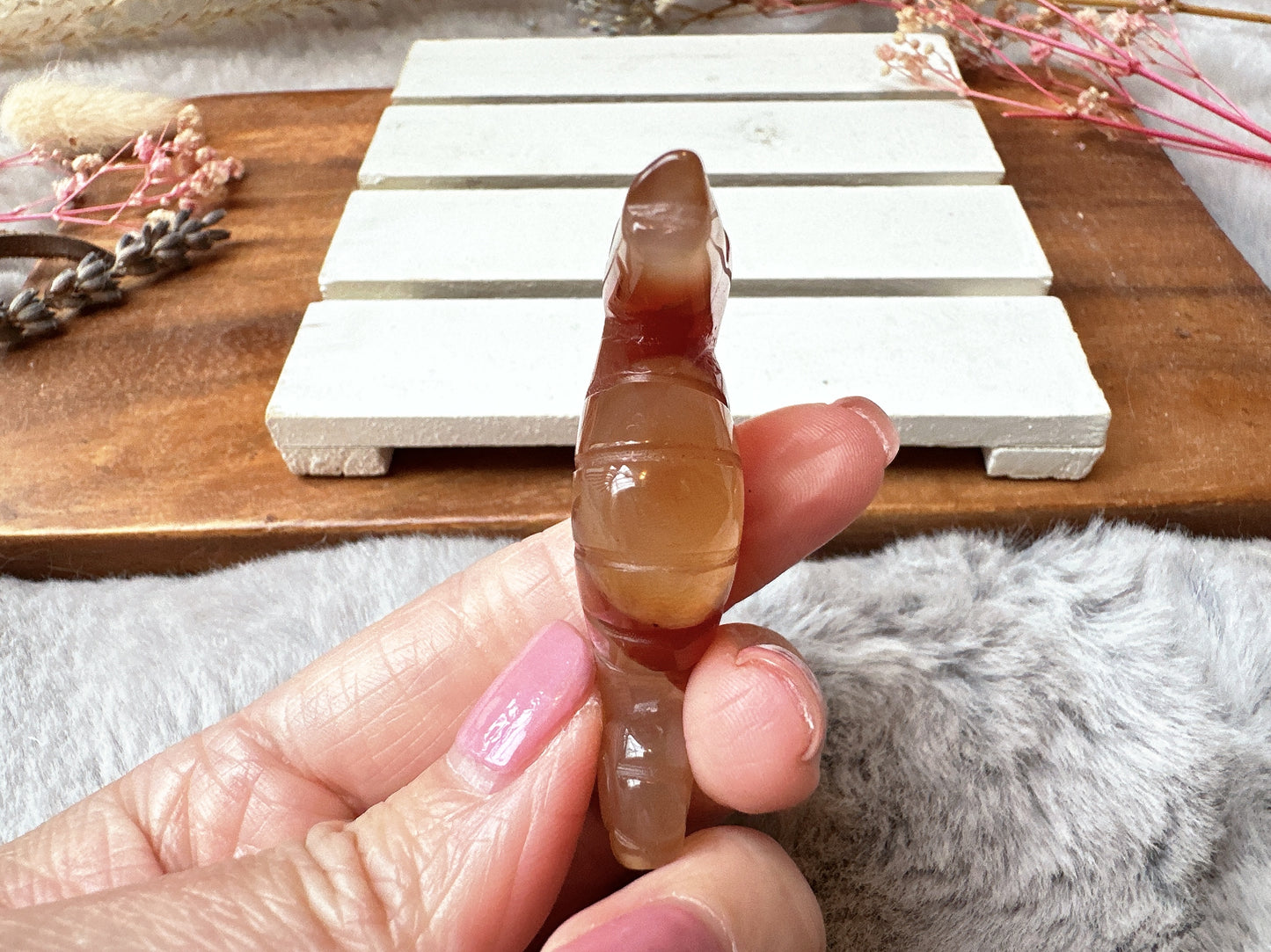 Small Carnelian Seahorse