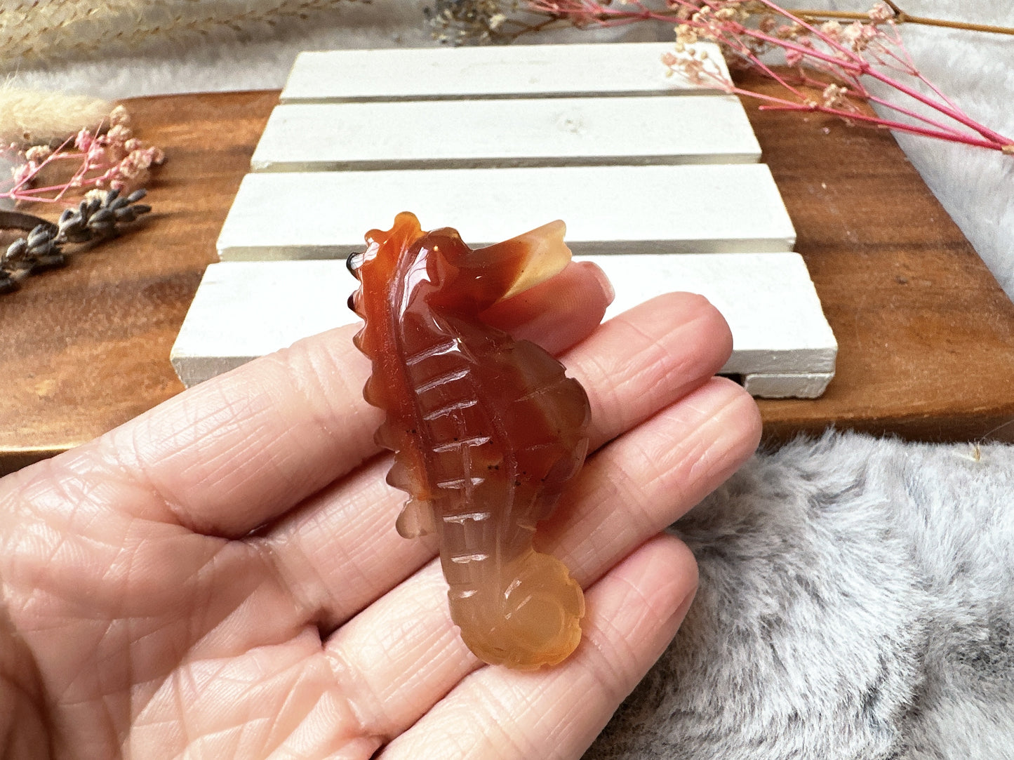 Small Carnelian Seahorse