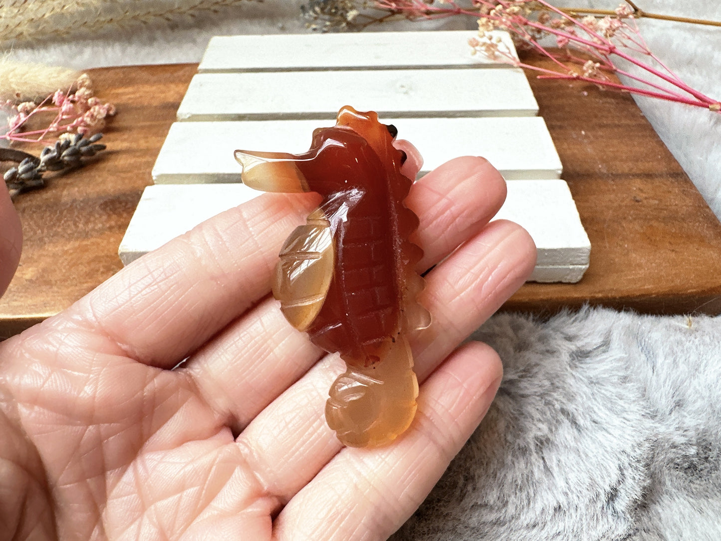Small Carnelian Seahorse