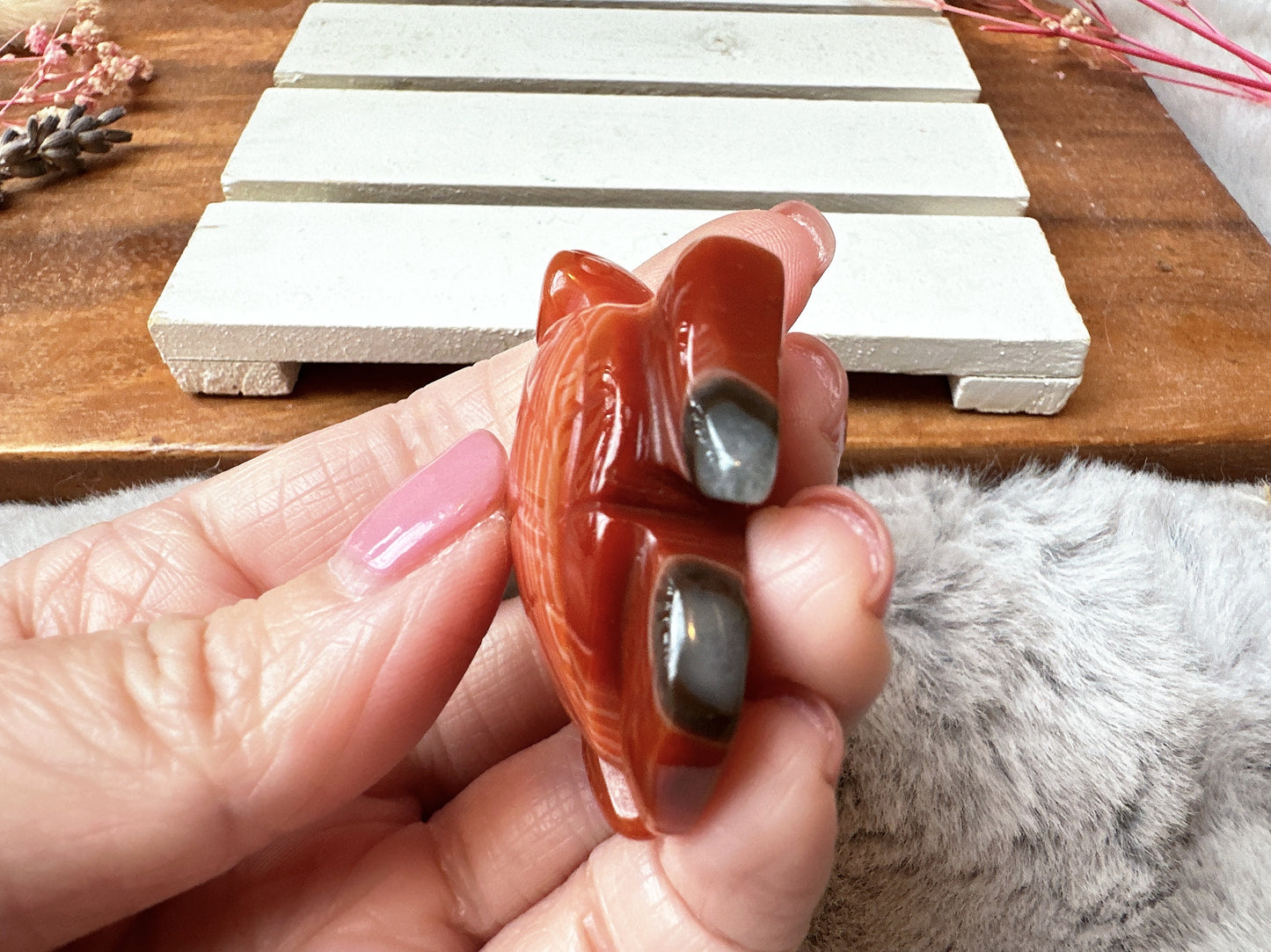 Small Carnelian Sea Turtle
