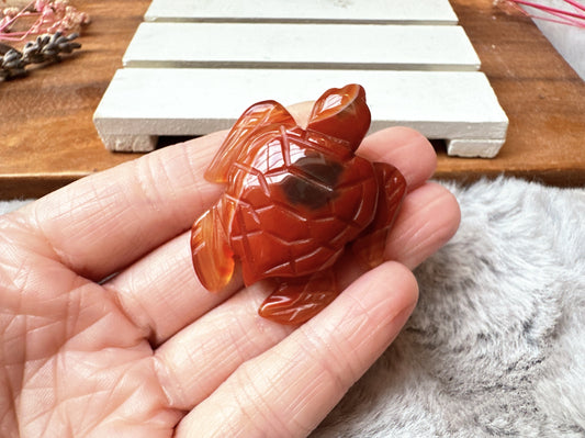 Small Carnelian Turtle