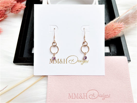 Small Double Loops with Cubic Zirconia Charm Earrings