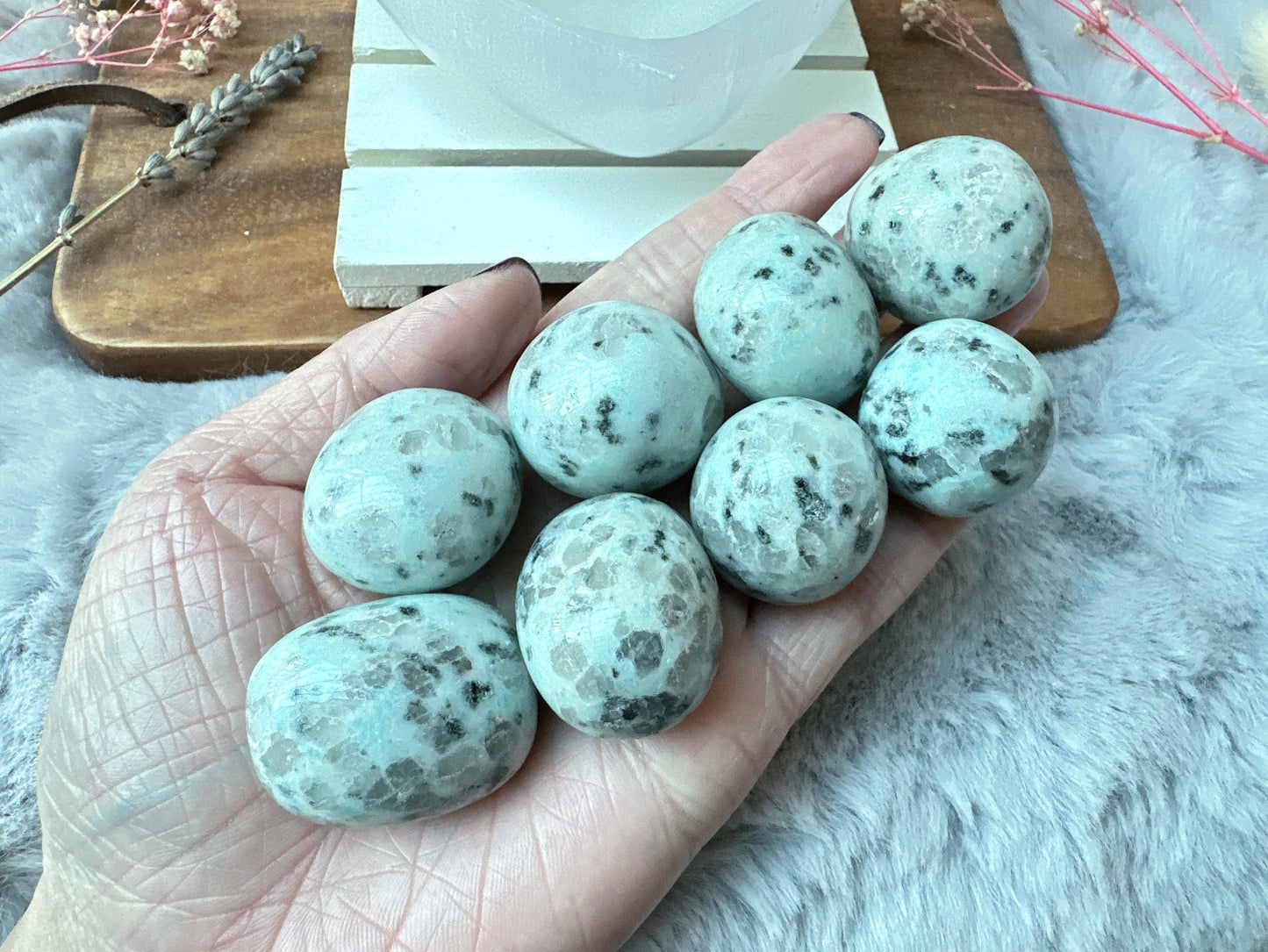 Kiwi Jasper Tumble