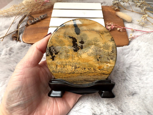 Picture Jasper Slab with Attached Stand