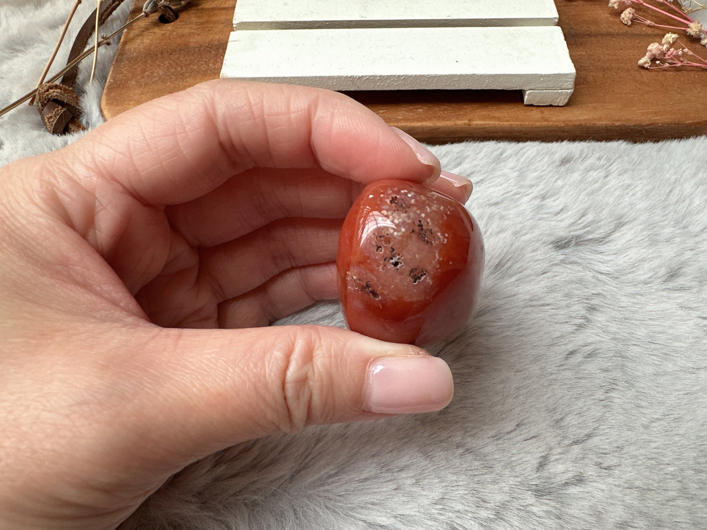 Extra Small Carnelian Druzy Egg
