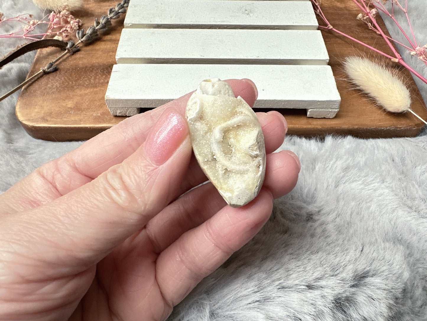 Mini Fossil Shell
