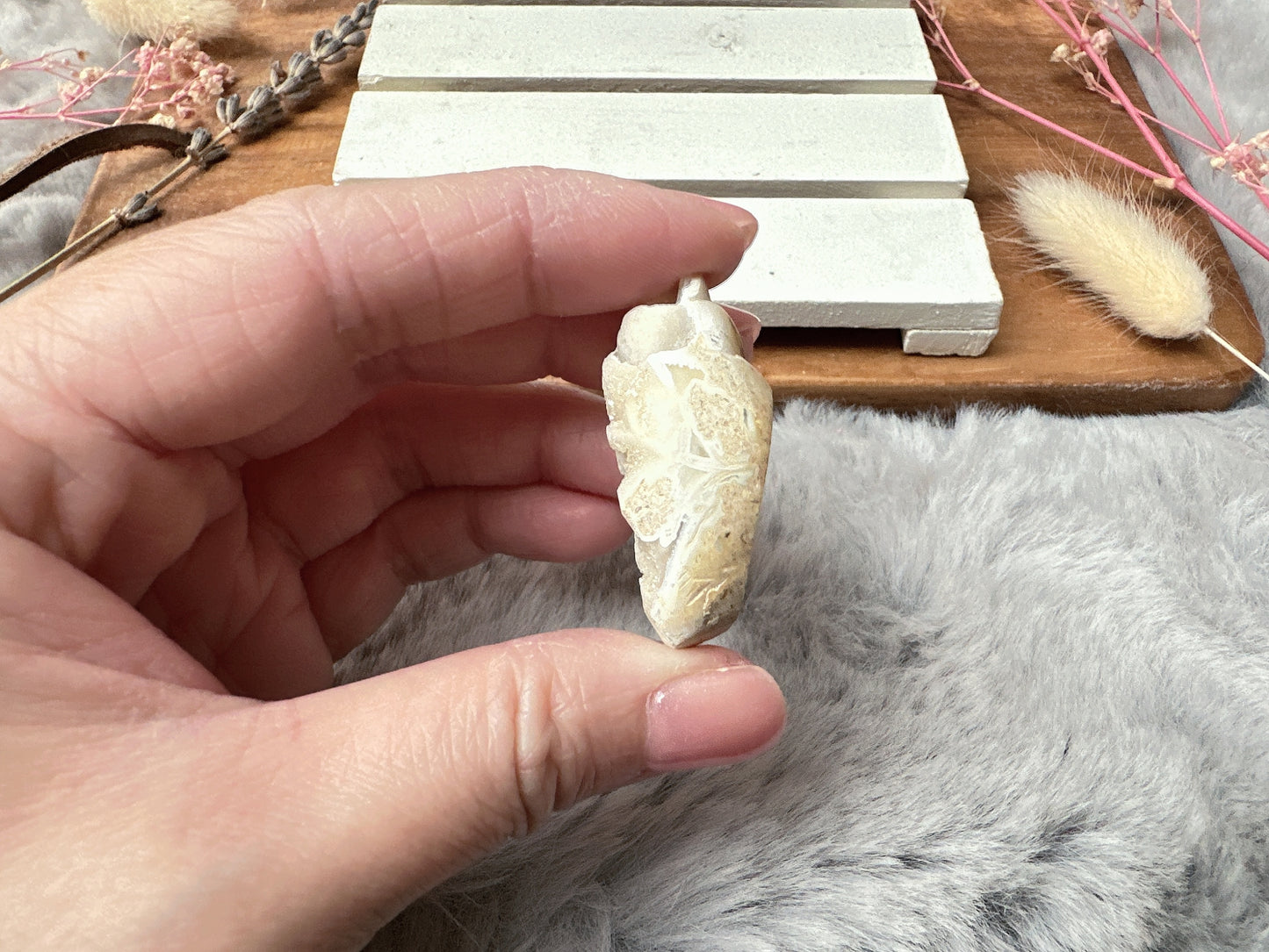 Mini Fossil Shell