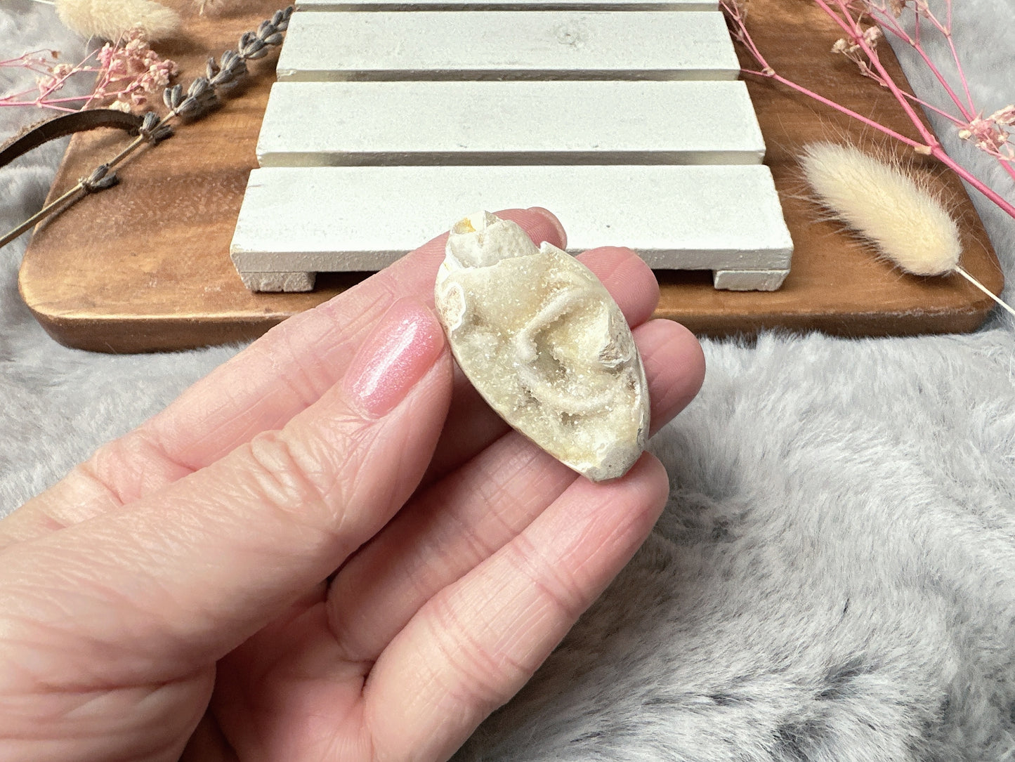 Mini Fossil Shell