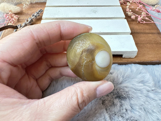 Small Gobi Agate Palm Stone