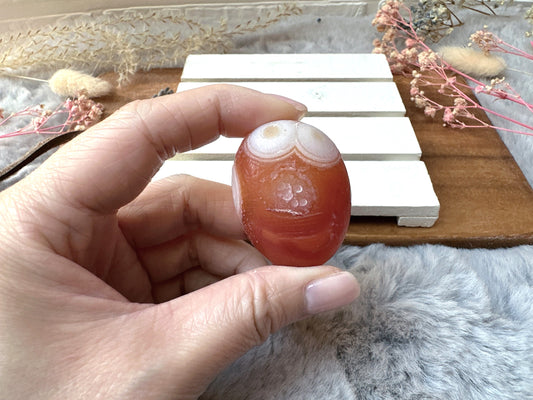 Small Gobi Agate Palm Stone