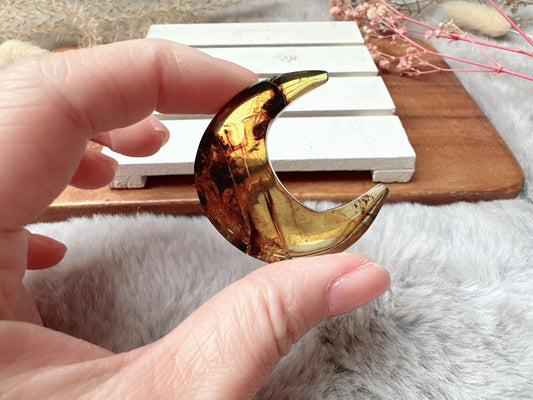 Chiapas Amber Moon