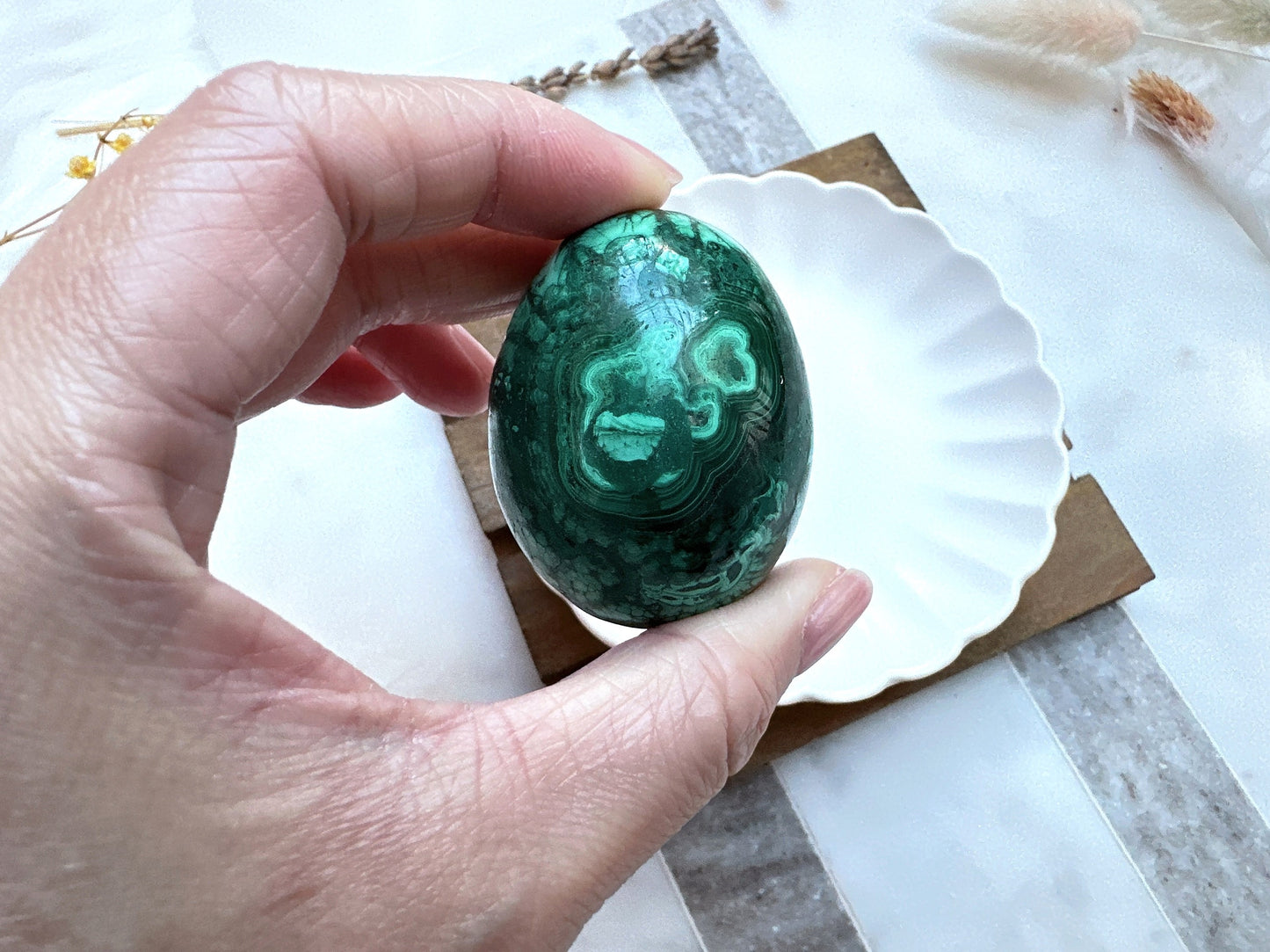 Small Malachite Egg