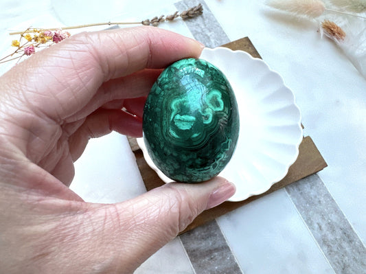 Small Malachite Egg