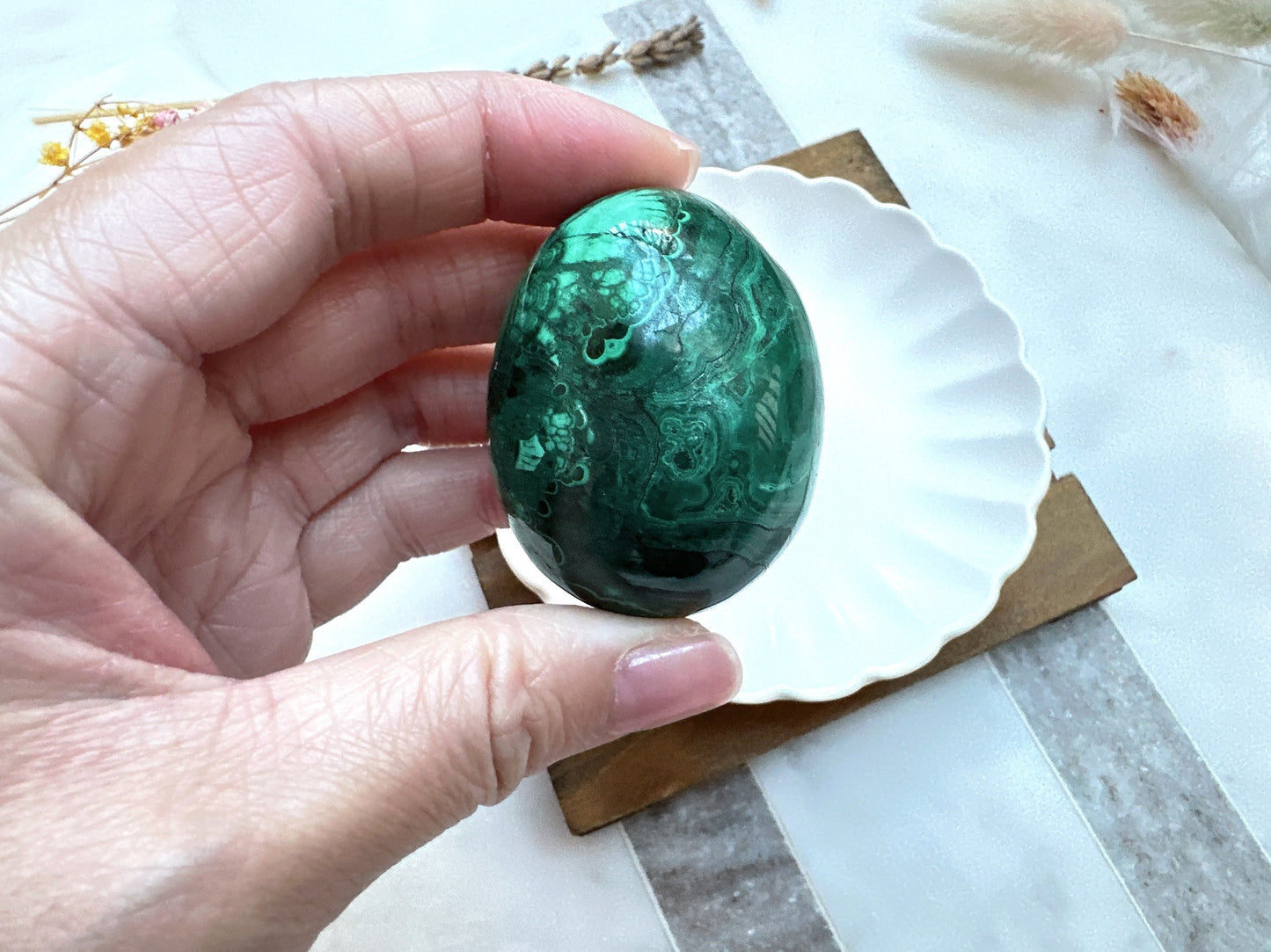 Small Malachite Egg