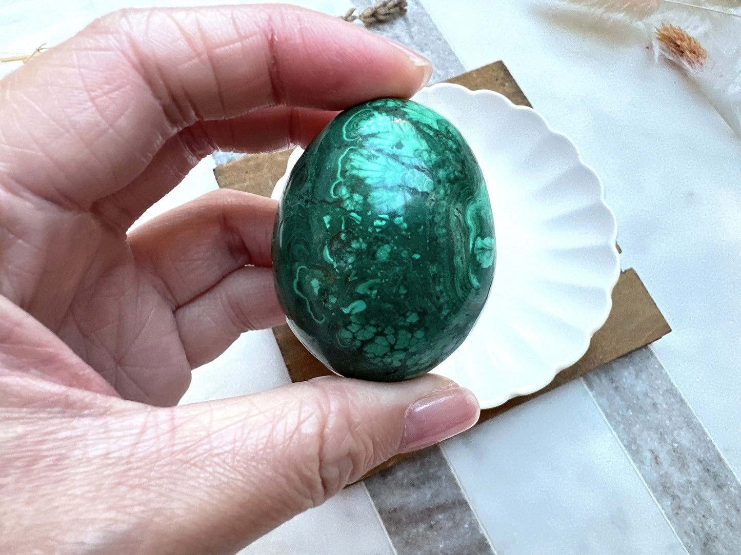 Small Malachite Egg