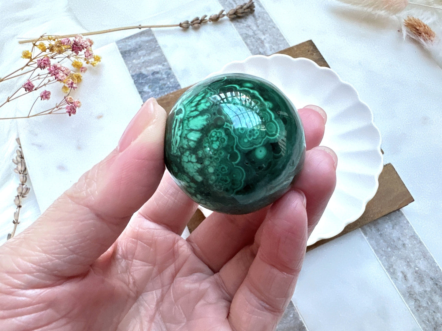 Small Malachite Egg