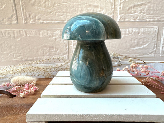 Ocean Jasper Mushroom