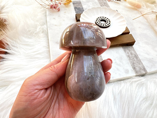 Sea Jasper Mushroom
