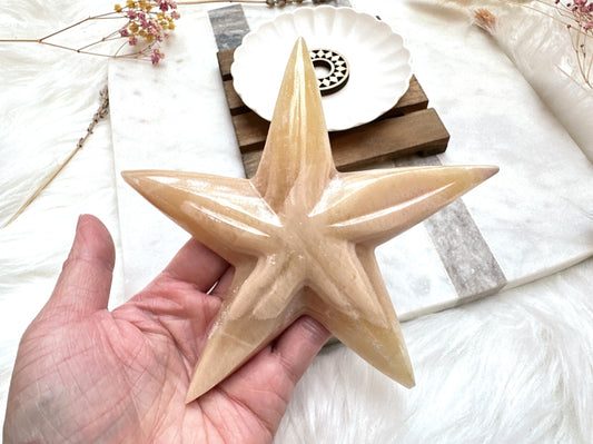 Onyx Starfish