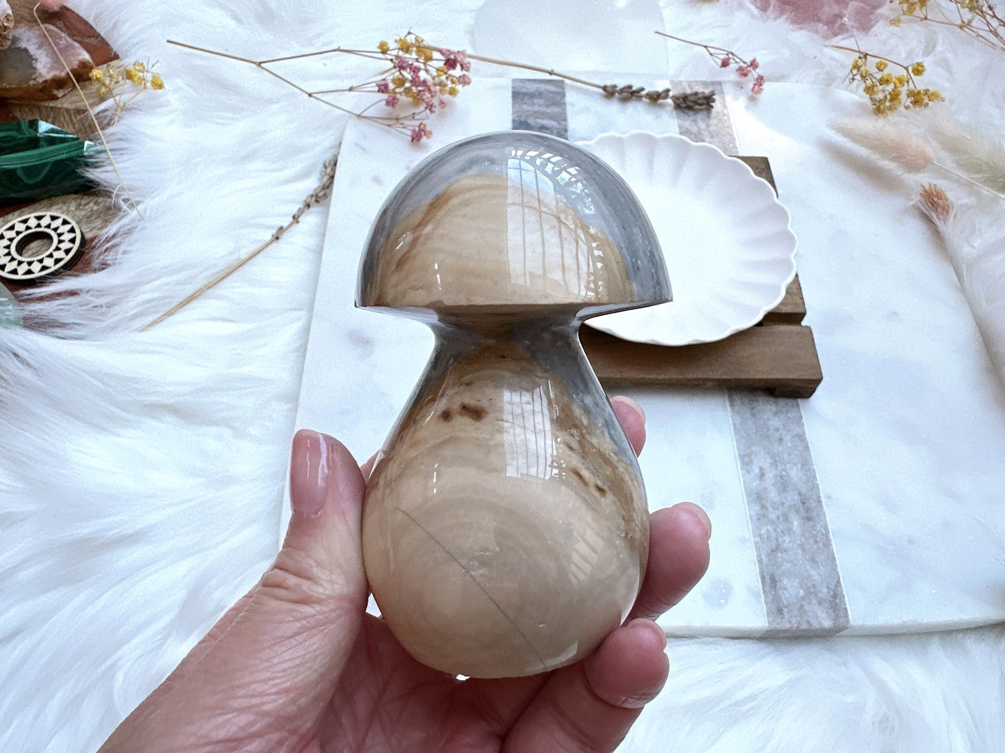 Polychrome Jasper Mushroom