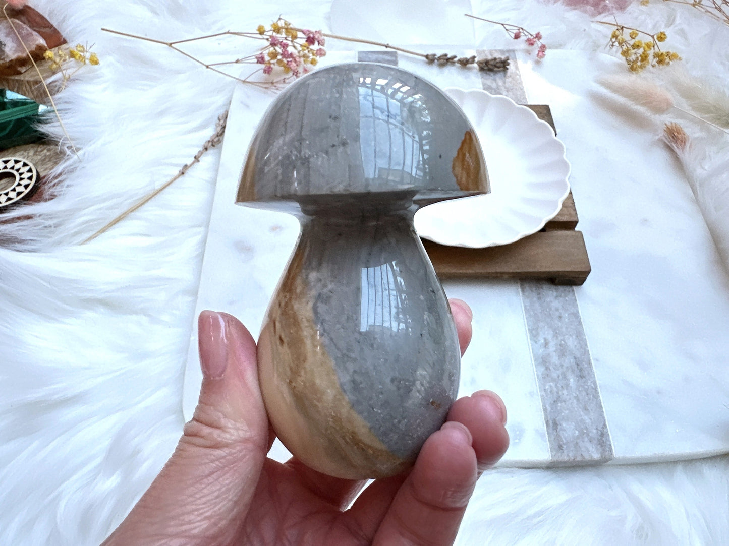 Polychrome Jasper Mushroom